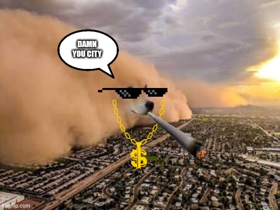 I hate cities | DAMN YOU CITY | image tagged in dust storm dog | made w/ Imgflip meme maker