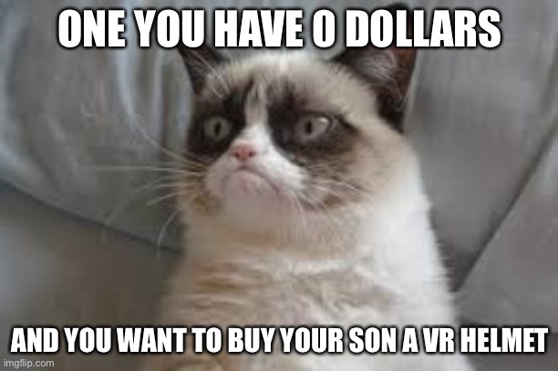 Can someone relate to this? | ONE YOU HAVE 0 DOLLARS; AND YOU WANT TO BUY YOUR SON A VR HELMET | image tagged in grumpy cat | made w/ Imgflip meme maker