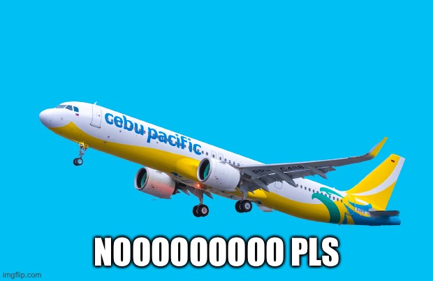 Cebu pacific A320neo | NOOOOOOOOO PLS | image tagged in cebu pacific a320neo | made w/ Imgflip meme maker