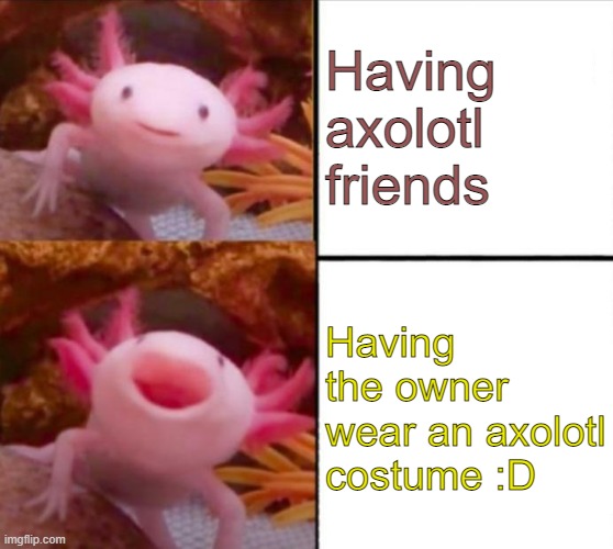 axolotl drake |  Having axolotl friends; Having the owner wear an axolotl costume :D | image tagged in axolotl drake | made w/ Imgflip meme maker