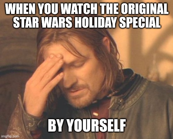 There are many things you never do. Never! Especially watch the Star Wars Holiday Special. | WHEN YOU WATCH THE ORIGINAL STAR WARS HOLIDAY SPECIAL; BY YOURSELF | image tagged in memes,frustrated boromir,star wars,holidays | made w/ Imgflip meme maker