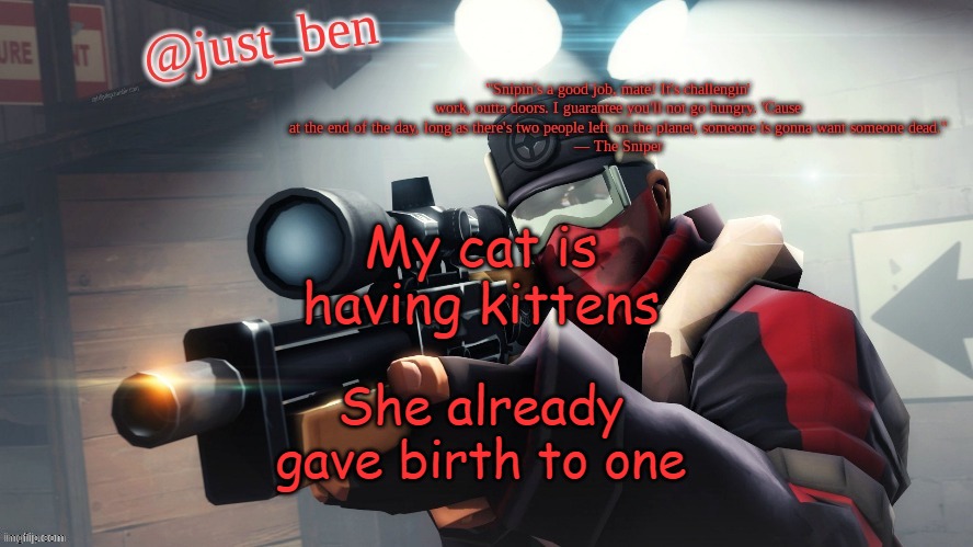 Ben's TF2 template | My cat is having kittens; She already gave birth to one | image tagged in ben's tf2 template | made w/ Imgflip meme maker