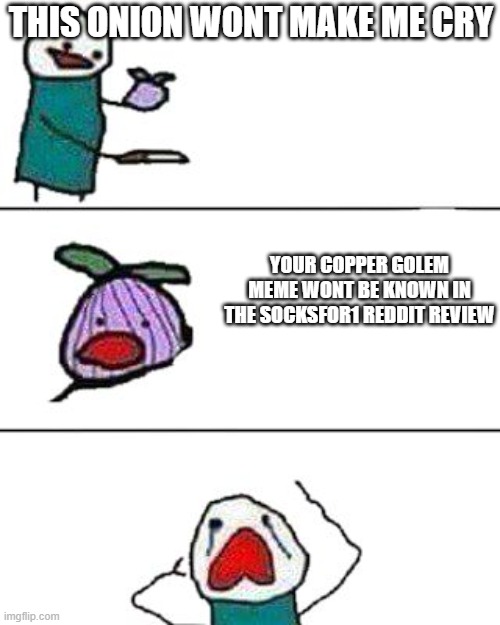 this onion won't make me cry | THIS ONION WONT MAKE ME CRY; YOUR COPPER GOLEM MEME WONT BE KNOWN IN THE SOCKSFOR1 REDDIT REVIEW | image tagged in this onion won't make me cry | made w/ Imgflip meme maker