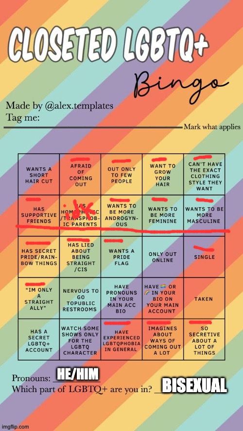 :/ I don’t know anymore | HE/HIM; BISEXUAL | image tagged in closeted lgbtq bingo | made w/ Imgflip meme maker