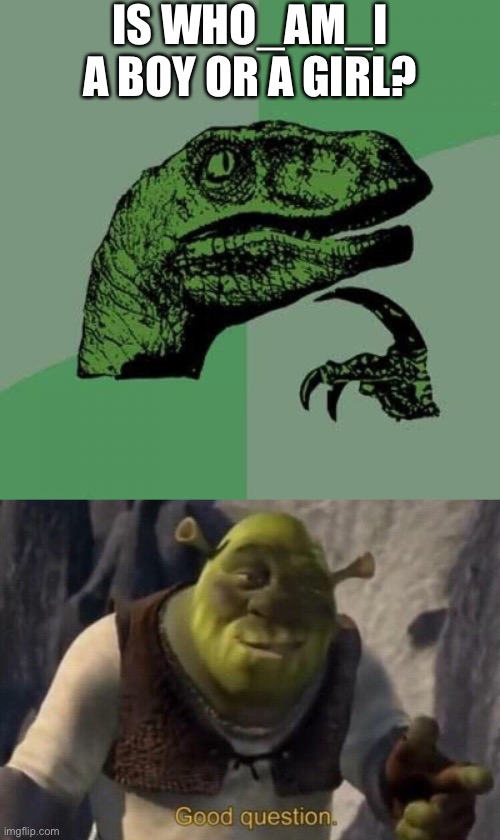 IS WHO_AM_I A BOY OR A GIRL? | image tagged in memes,philosoraptor,good question,oh wow are you actually reading these tags | made w/ Imgflip meme maker