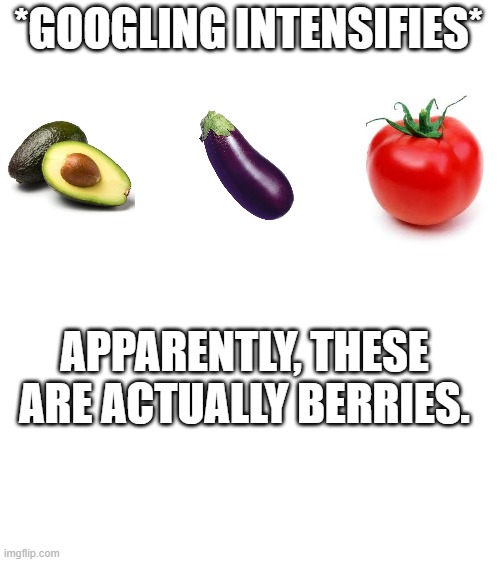 Blank White Template | *GOOGLING INTENSIFIES* APPARENTLY, THESE ARE ACTUALLY BERRIES. | image tagged in blank white template | made w/ Imgflip meme maker