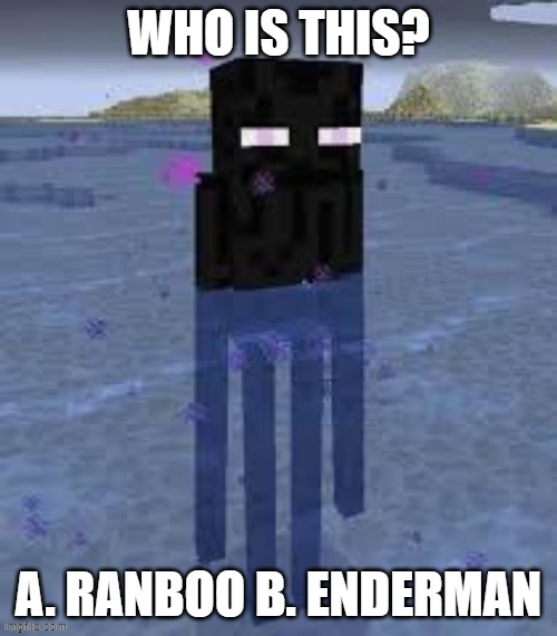 cursed! | WHO IS THIS? A. RANBOO B. ENDERMAN | image tagged in cursed enderman | made w/ Imgflip meme maker