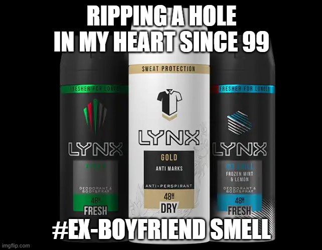 heartbreak | RIPPING A HOLE IN MY HEART SINCE 99; #EX-BOYFRIEND SMELL | image tagged in relationships,nostalgia | made w/ Imgflip meme maker