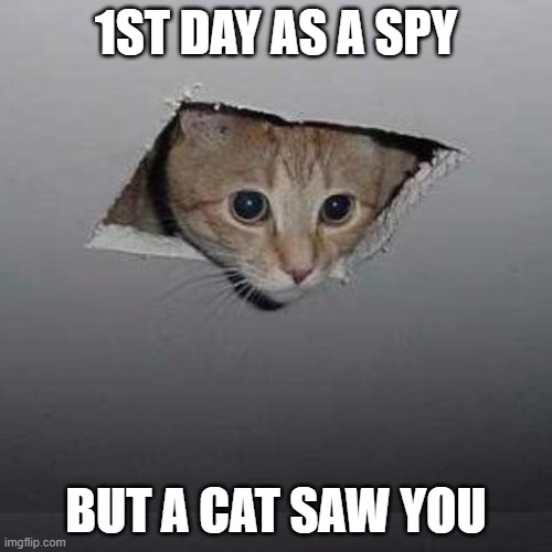 Spy ded | 1ST DAY AS A SPY; BUT A CAT SAW YOU | image tagged in memes,ceiling cat | made w/ Imgflip meme maker