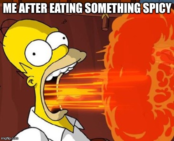 Me IRL | ME AFTER EATING SOMETHING SPICY | image tagged in mouth on fire | made w/ Imgflip meme maker