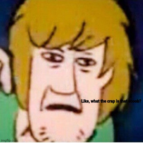 Shaggy | Like, what the crap is that scoob? | image tagged in shaggy | made w/ Imgflip meme maker