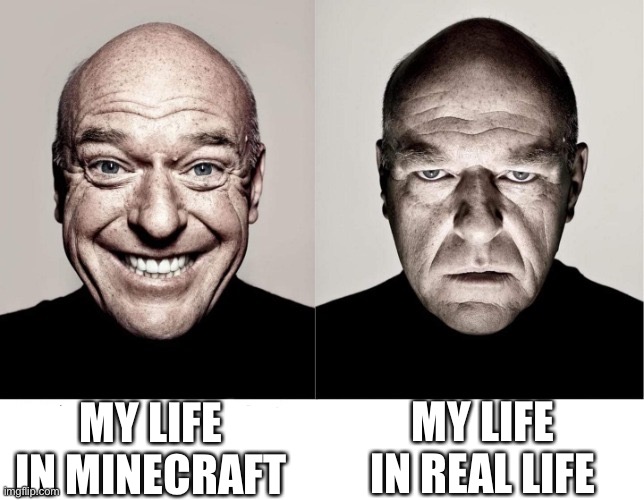 breaking bad smile frown | MY LIFE IN MINECRAFT; MY LIFE IN REAL LIFE | image tagged in breaking bad smile frown | made w/ Imgflip meme maker