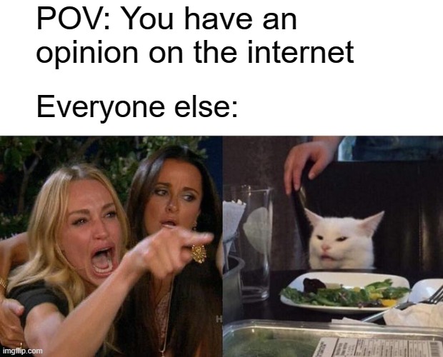 Woman Yelling At Cat | POV: You have an opinion on the internet; Everyone else: | image tagged in memes,woman yelling at cat | made w/ Imgflip meme maker