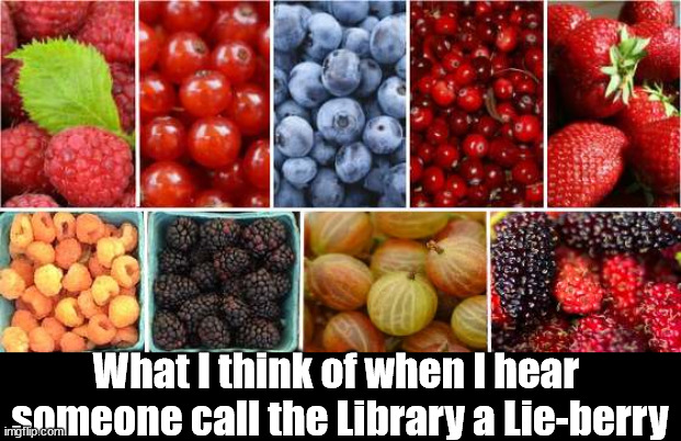 mispronounced library | What I think of when I hear 
someone call the Library a Lie-berry | image tagged in library | made w/ Imgflip meme maker