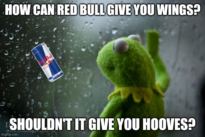 When your marketing department runs amok! | HOW CAN RED BULL GIVE YOU WINGS? SHOULDN'T IT GIVE YOU HOOVES? | image tagged in kermit window,red bull,wings | made w/ Imgflip meme maker