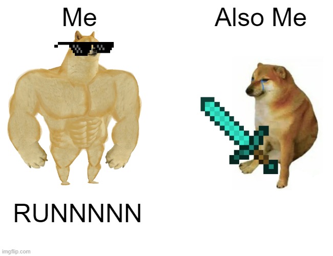 Dog VS Dog | Me; Also Me; RUNNNNN | image tagged in memes,buff doge vs cheems | made w/ Imgflip meme maker