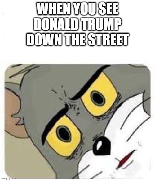 WHEN YOU SEE
DONALD TRUMP
DOWN THE STREET | image tagged in cats | made w/ Imgflip meme maker