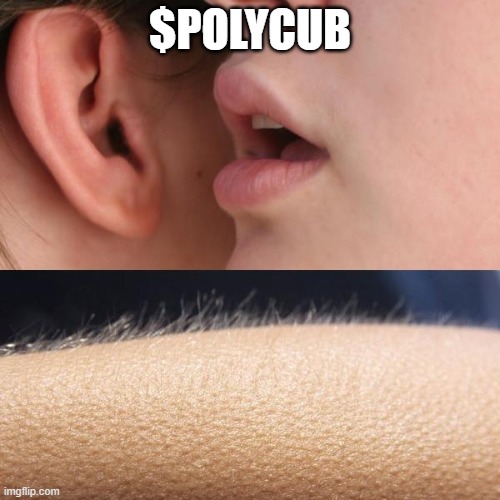 Whisper and Goosebumps | $POLYCUB | image tagged in whisper and goosebumps | made w/ Imgflip meme maker