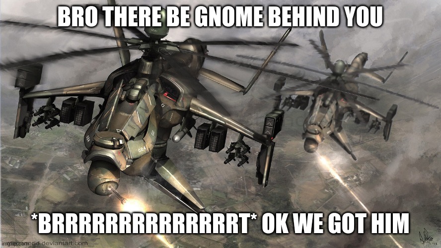 attack heilcopters | BRO THERE BE GNOME BEHIND YOU *BRRRRRRRRRRRRRRT* OK WE GOT HIM | image tagged in attack heilcopters | made w/ Imgflip meme maker