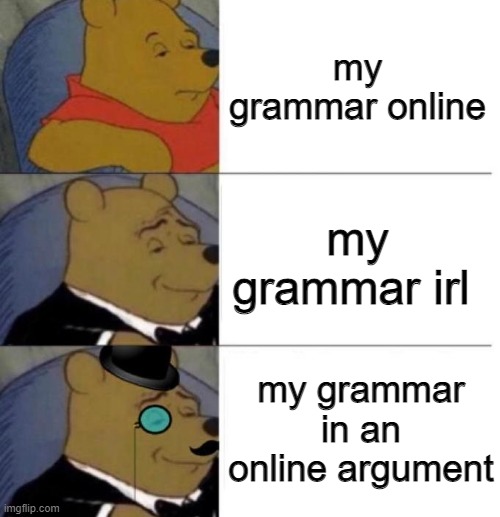 they call me mr grammar | my grammar online; my grammar irl; my grammar in an online argument | image tagged in tuxedo winnie the pooh 3 panel | made w/ Imgflip meme maker