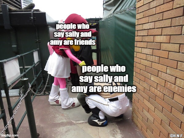 sally and amy are friends not enemies | people who say sally and amy are friends; people who say sally and amy are enemies | image tagged in sonic the hedgehog,amy rose | made w/ Imgflip meme maker