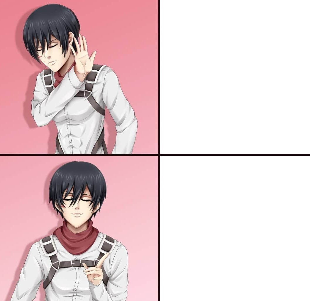 High Quality Mikasa meme Blank Meme Template