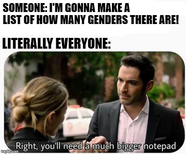 A MUCH bigger notepad. | SOMEONE: I'M GONNA MAKE A LIST OF HOW MANY GENDERS THERE ARE! LITERALLY EVERYONE: | image tagged in lgbtq,memes,lucifer,funny,gender | made w/ Imgflip meme maker