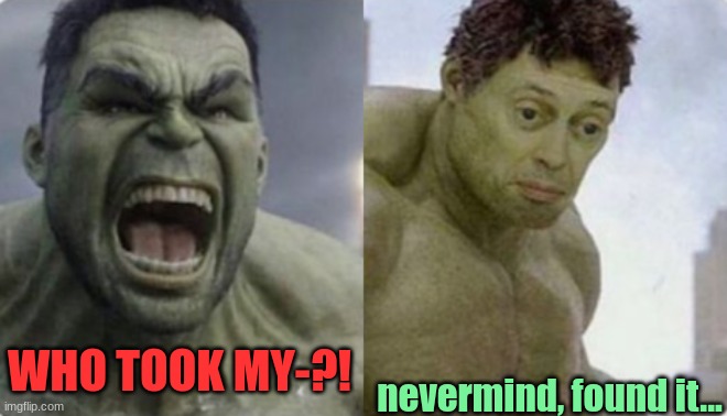We can all relate |  nevermind, found it... WHO TOOK MY-?! | image tagged in hulk,the incredible hulk,funny,mcu,marvel | made w/ Imgflip meme maker