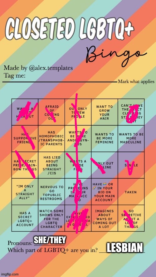 Closeted LGBTQ+ Bingo | SHE/THEY; LESBIAN | image tagged in closeted lgbtq bingo | made w/ Imgflip meme maker