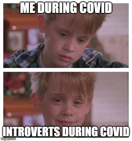 Home Alone Sudden Realization | ME DURING COVID; INTROVERTS DURING COVID | image tagged in home alone sudden realization | made w/ Imgflip meme maker