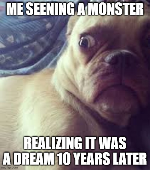 DOGGY MONSTERS |  ME SEENING A MONSTER; REALIZING IT WAS A DREAM 10 YEARS LATER | image tagged in doggy,weird stuff | made w/ Imgflip meme maker
