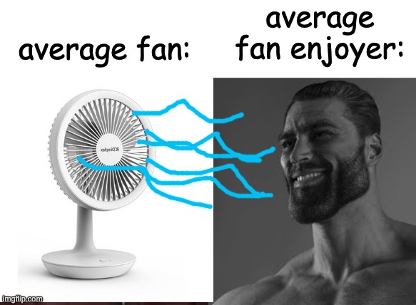 we are not the same... | average fan enjoyer:; average fan: | image tagged in average enjoyer meme,memes,unfunny | made w/ Imgflip meme maker