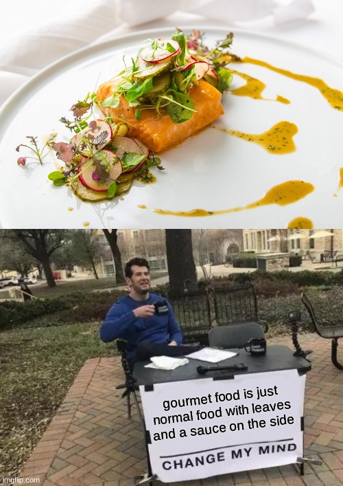 leaves... random sauce... and a fancy plate. the things that separate normal food from gourmet | gourmet food is just normal food with leaves and a sauce on the side | image tagged in memes,change my mind,this is some serious gourmet shit,food,leaves,sauce | made w/ Imgflip meme maker