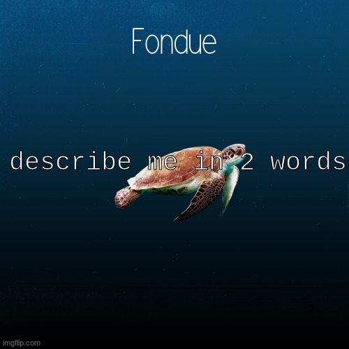 turtle template-Fondue | describe me in 2 words | image tagged in turtle template-fondue | made w/ Imgflip meme maker