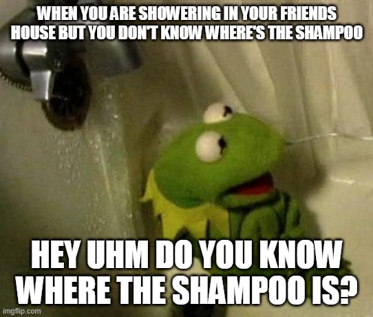its true | WHEN YOU ARE SHOWERING IN YOUR FRIENDS HOUSE BUT YOU DON'T KNOW WHERE'S THE SHAMPOO; HEY UHM DO YOU KNOW WHERE THE SHAMPOO IS? | image tagged in kermit on shower | made w/ Imgflip meme maker