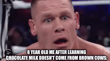 My life is a lie | 8 YEAR OLD ME AFTER LEARNING CHOCOLATE MILK DOESN’T COME FROM BROWN COWS: | image tagged in gifs,cows,john cena,sussy,why are you reading this,memes | made w/ Imgflip video-to-gif maker