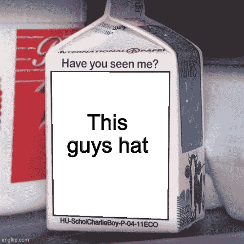 Missing Person | This guys hat | image tagged in missing person | made w/ Imgflip meme maker
