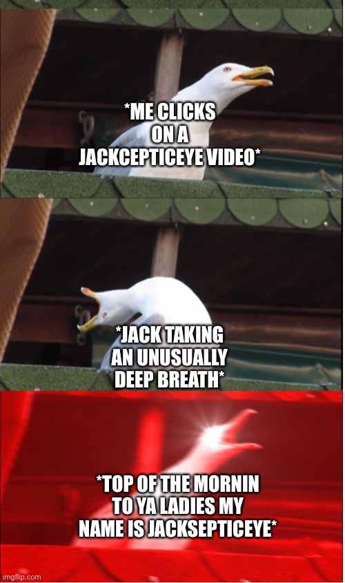 This video looks interesting | *ME CLICKS ON A JACKCEPTICEYE VIDEO*; *JACK TAKING AN UNUSUALLY DEEP BREATH*; *TOP OF THE MORNIN TO YA LADIES MY NAME IS JACKSEPTICEYE* | image tagged in memes,funny,relatable,inhaling seagull | made w/ Imgflip meme maker