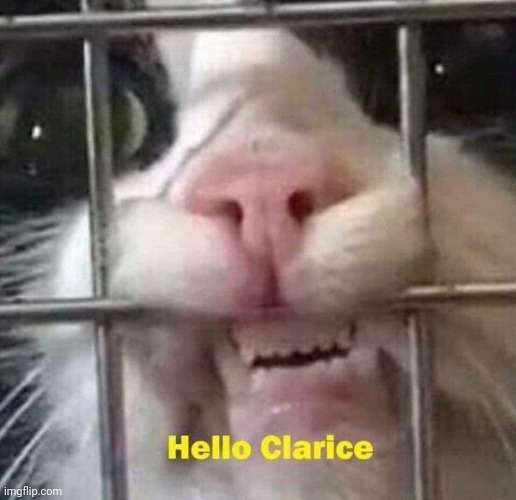 When your human slave walks by after putting you in the penalty box: | image tagged in hello clarice,silence of the lambs,hannibal,jail,kitty jail,mew | made w/ Imgflip meme maker