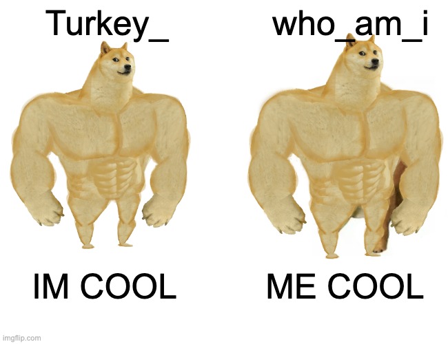 Buff Doge and Buff Doge | Turkey_; who_am_i; ME COOL; IM COOL | image tagged in memes,buff doge vs cheems,who_am_i | made w/ Imgflip meme maker