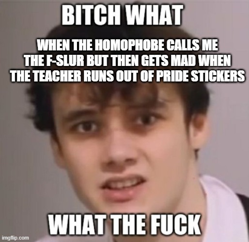 Wilbur Soot WTF | WHEN THE HOMOPHOBE CALLS ME THE F-SLUR BUT THEN GETS MAD WHEN THE TEACHER RUNS OUT OF PRIDE STICKERS | image tagged in wilbur soot wtf | made w/ Imgflip meme maker