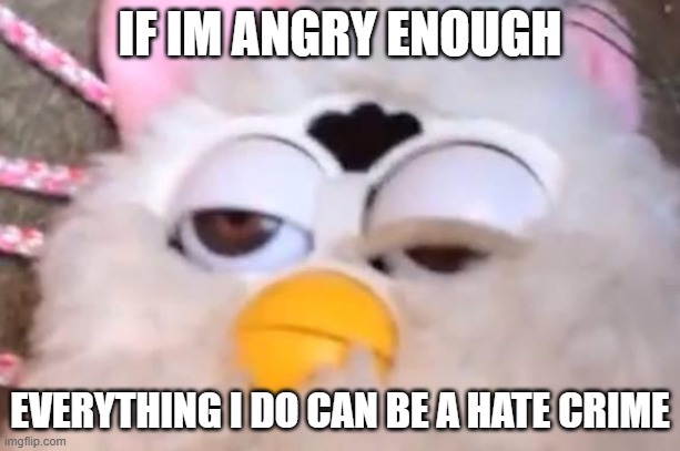 true equality isn't about peace |  IF IM ANGRY ENOUGH; EVERYTHING I DO CAN BE A HATE CRIME | image tagged in high furby,violence is always the answer,i don't need sleep i need answers | made w/ Imgflip meme maker