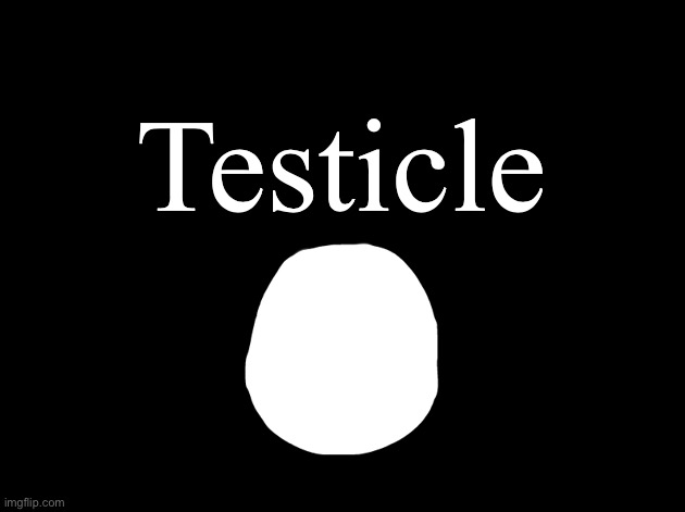 Isis | Testicle | image tagged in isis | made w/ Imgflip meme maker