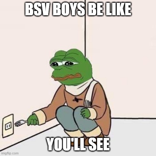BSV Boys | BSV BOYS BE LIKE; YOU'LL SEE | image tagged in sad pepe suicide | made w/ Imgflip meme maker