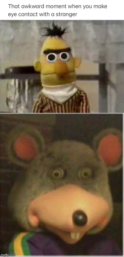 image tagged in bert stare,chuck e cheese rat stare,memes,funny,relatable,oh wow are you actually reading these tags | made w/ Imgflip meme maker