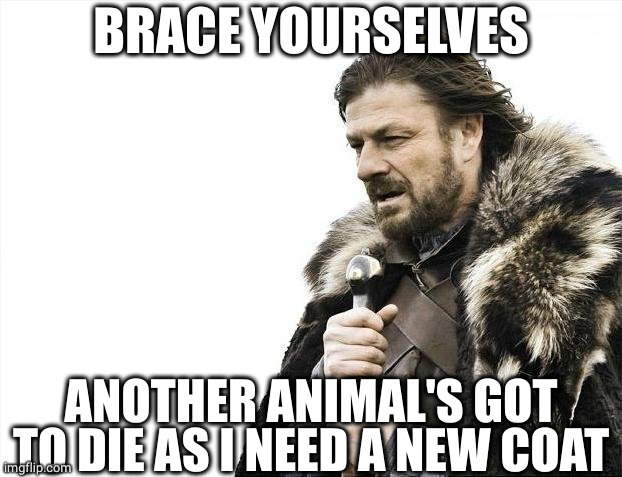 Brace Yourselves X is Coming | BRACE YOURSELVES; ANOTHER ANIMAL'S GOT TO DIE AS I NEED A NEW COAT | image tagged in memes,brace yourselves x is coming | made w/ Imgflip meme maker