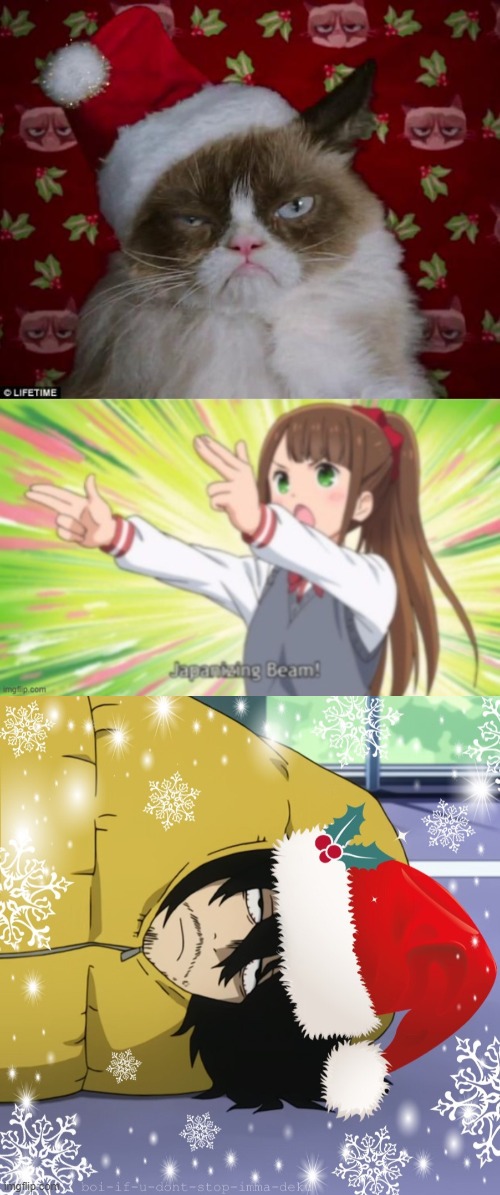 image tagged in grumpy cat christmas,japanizing beam | made w/ Imgflip meme maker