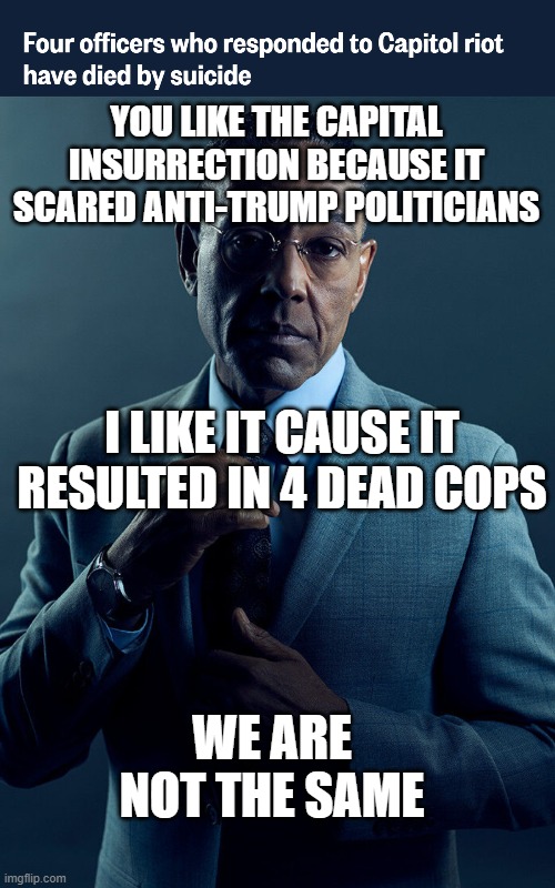 YOU LIKE THE CAPITAL INSURRECTION BECAUSE IT SCARED ANTI-TRUMP POLITICIANS; I LIKE IT CAUSE IT RESULTED IN 4 DEAD COPS; WE ARE NOT THE SAME | image tagged in gus fring we are not the same,capitol hill,police | made w/ Imgflip meme maker