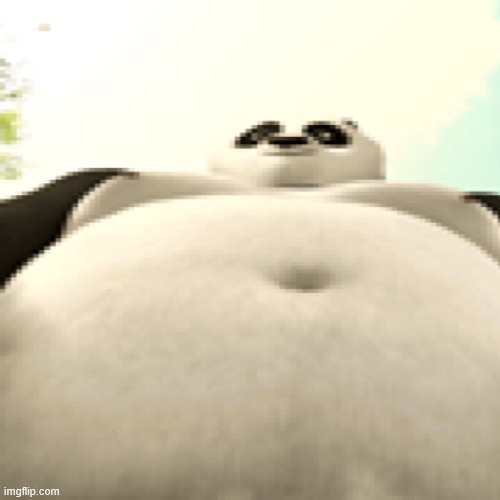 fat kung fu panda | image tagged in fat kung fu panda | made w/ Imgflip meme maker