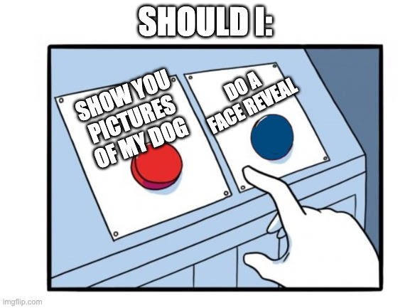 I'm bored, pick one ig | SHOULD I:; DO A FACE REVEAL; SHOW YOU PICTURES OF MY DOG | image tagged in memes,unfunny | made w/ Imgflip meme maker